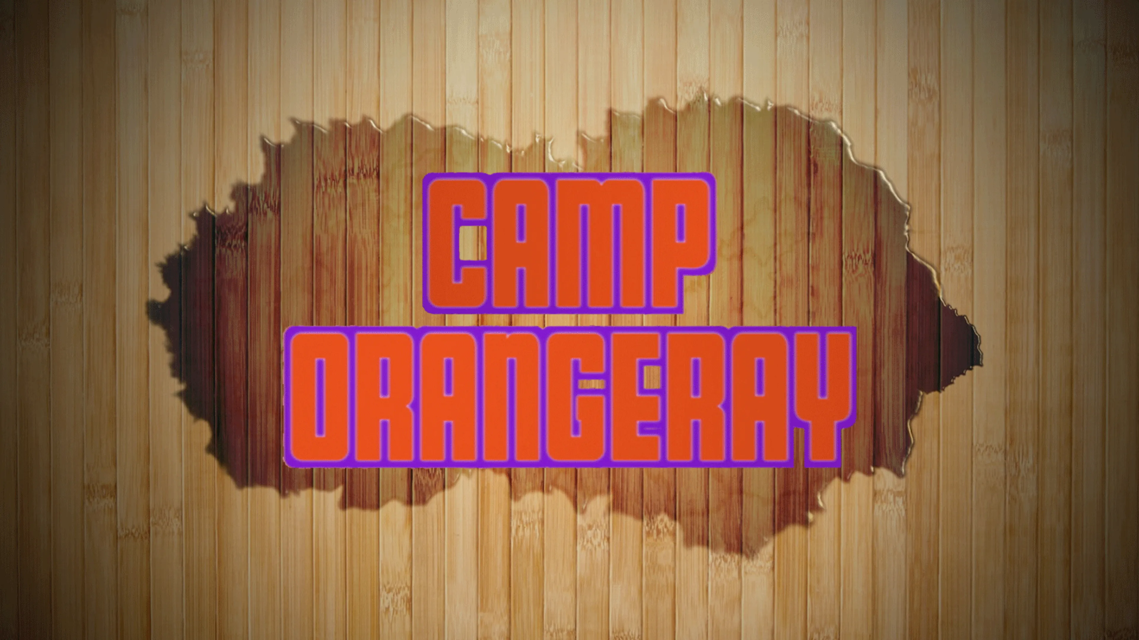 Camp OrangeRay poster